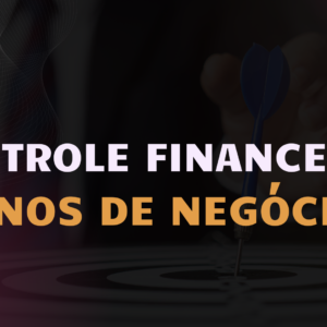 Controle Financeiro para Donos de Negócios
